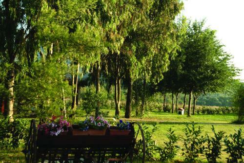 Hostal Agriturismo La Petrosa