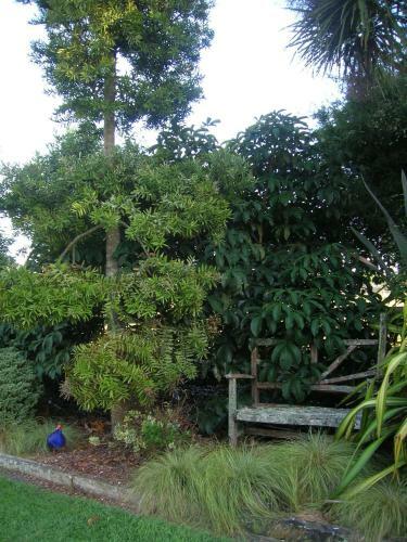 Bed & Breakfast Blairgowrie House
