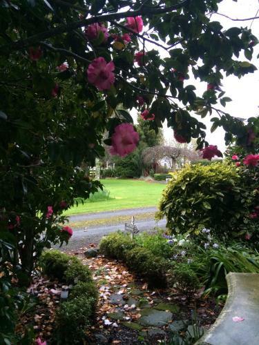 Bed & Breakfast Blairgowrie House