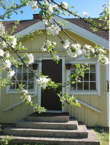 Agroturismo Ilola Farmhouse
