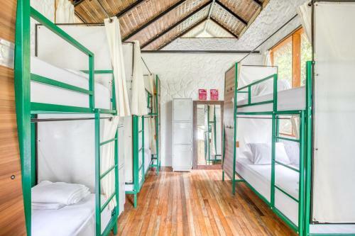 Cotococha Amazon Lodge - Napo River Lodge