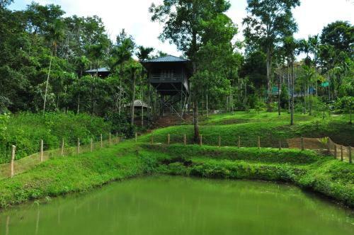 Hotel The Woods Resorts Wayanad