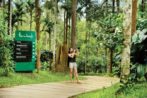 Hotel The Woods Resorts Wayanad