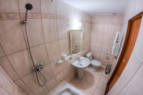 Hotel Karpatska Villa