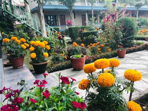 Hotel Chitwan Village Resort