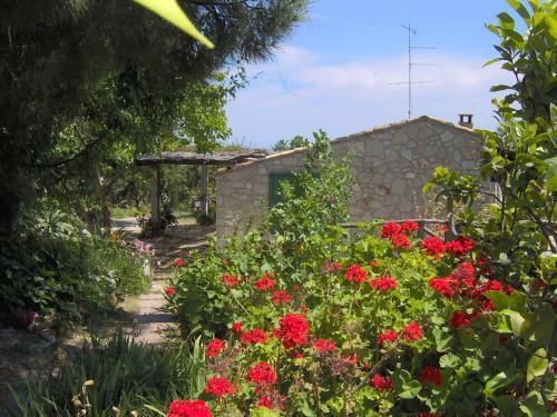 Hostal Agriturismo Pozzitello