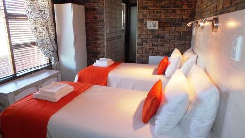 Hostal White Shark Guest House
