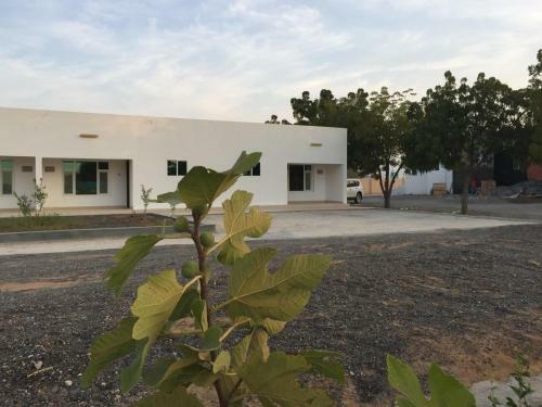 Hostal Oriental Nights Rest House