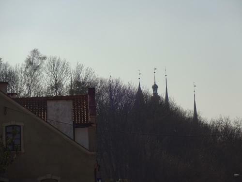 Wodnik