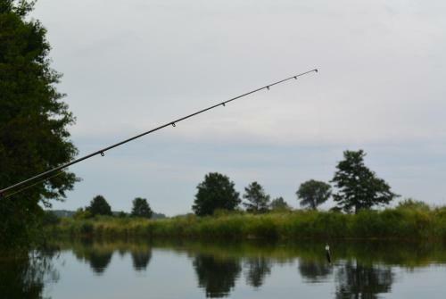 Wodnik