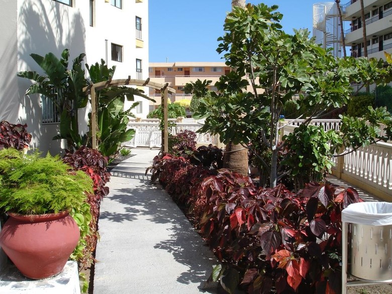 Apartamentos Los Ficus