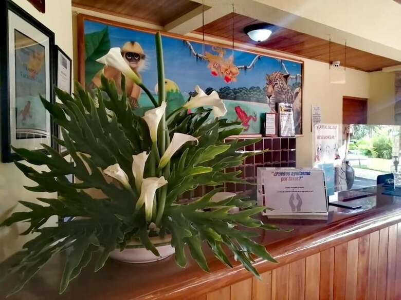 Hotel Amapola (.)