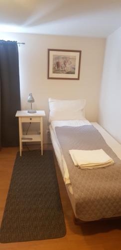 Hotel Framnes
