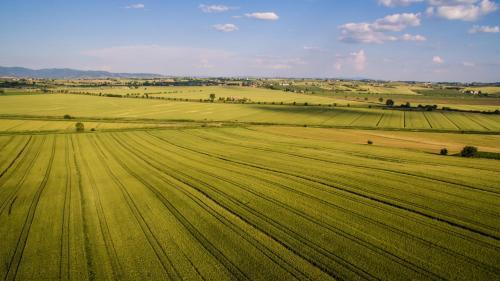 Hostal Agriturismo San Francesco
