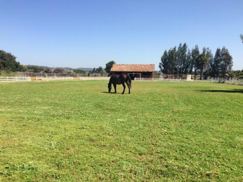 Agroturismo Hotel Haras Casacampo