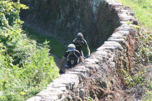 Agroturismo Estabulo De Valinhas
