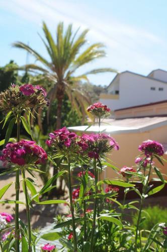 Hotel Uhland