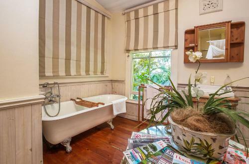 Hostal Goble Palms Guest Lodge & Urban Retreat