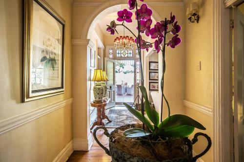 Hostal Goble Palms Guest Lodge & Urban Retreat