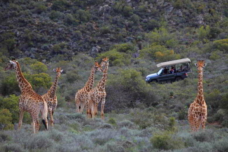 Madi-madi Karoo Safari Lodge