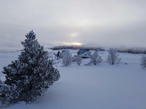 Skipalaekur Cottages