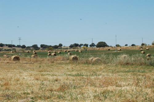 Agroturismo Rural Pedroches Casa Los Mineros