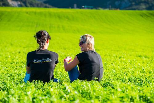 Agroturismo Caser�o De Fatas