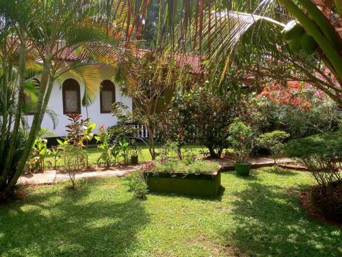 Hostal Leijay Resort