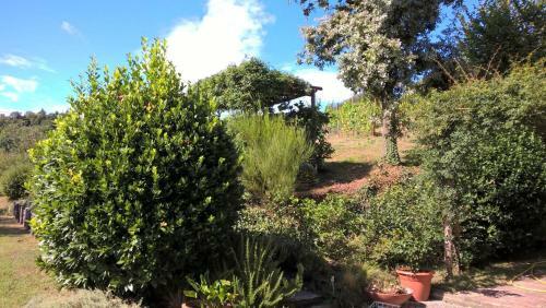 Sotto La Luna Bruna B&B