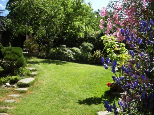 Hostal Penzion Nevcehle