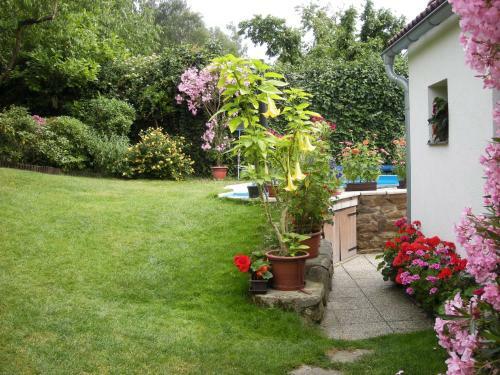 Hostal Penzion Nevcehle