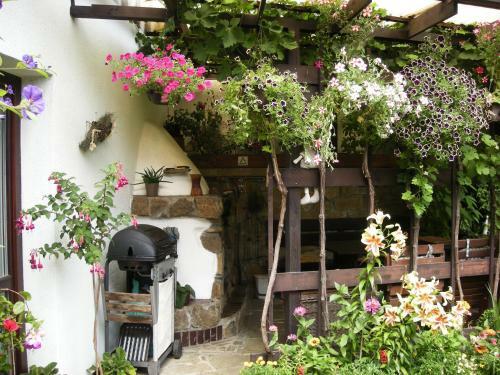 Hostal Penzion Nevcehle