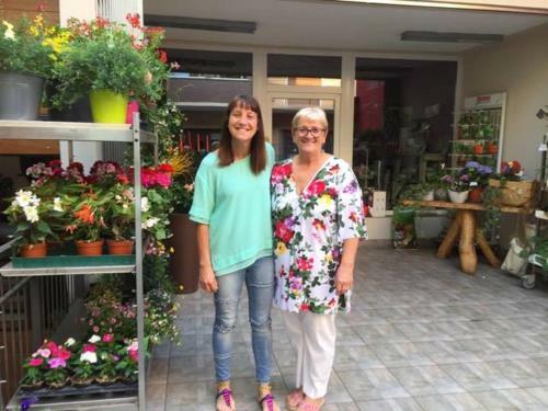 B&B Il Pettirosso