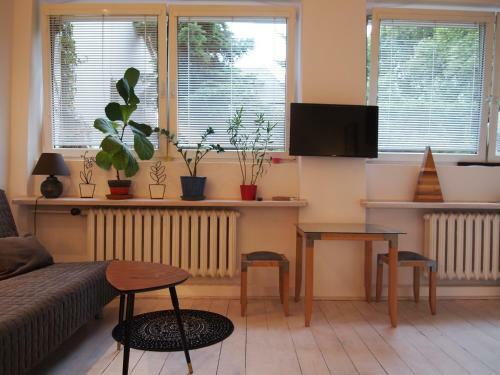 Apartamenty Galeria