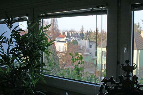 Apartamenty Galeria