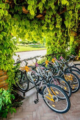 Agroturismo Agriturismo Tenuta Regina