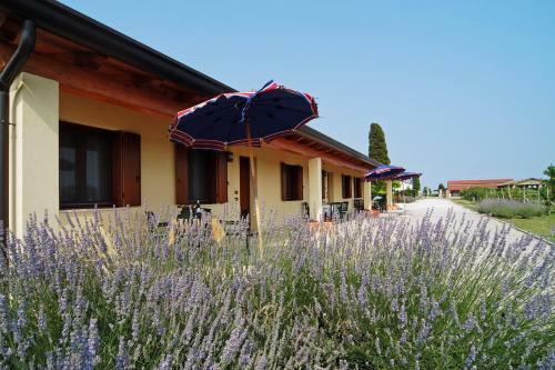 Agroturismo Agriturismo Tenuta Regina