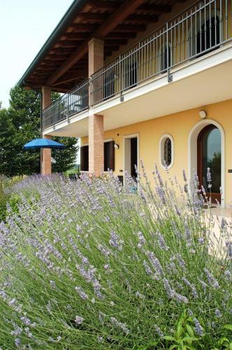 Agroturismo Agriturismo Tenuta Regina