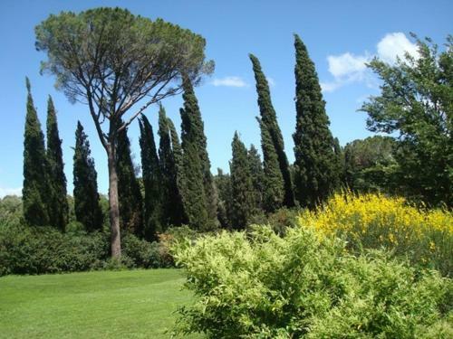 Hostal Al Giardino Degli Etruschi
