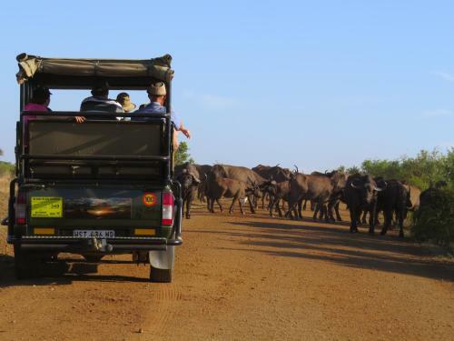 Phumula Kruger Lodge And Safaris