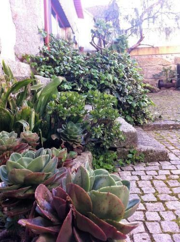 Agroturismo Casa Ci