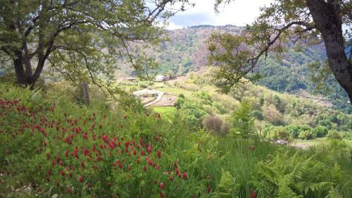 Agroturismo Reitoral De Chandrexa
