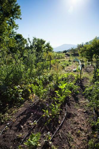 Agroturismo Reitoral De Chandrexa