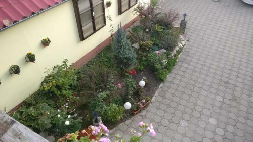 Hostal Pensiunea Liana
