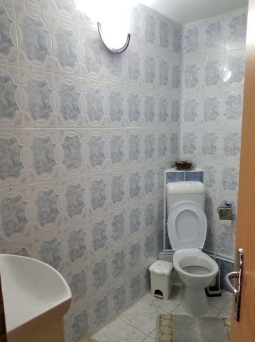 Hostal Pensiunea Liana