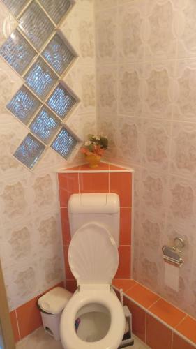 Hostal Pensiunea Liana