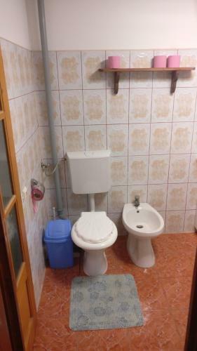 Hostal Pensiunea Liana