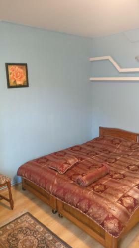 Hostal Pensiunea Liana