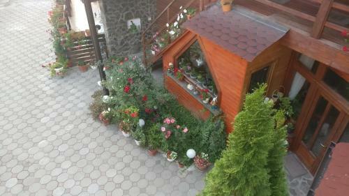 Hostal Pensiunea Liana