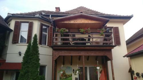 Hostal Pensiunea Liana